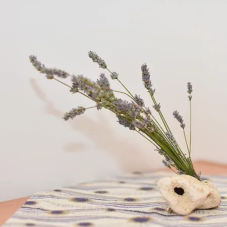 Juka Апартаменты Хвар