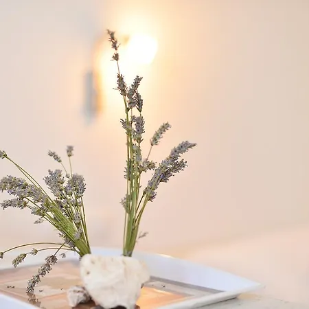 Апартаменты Juka