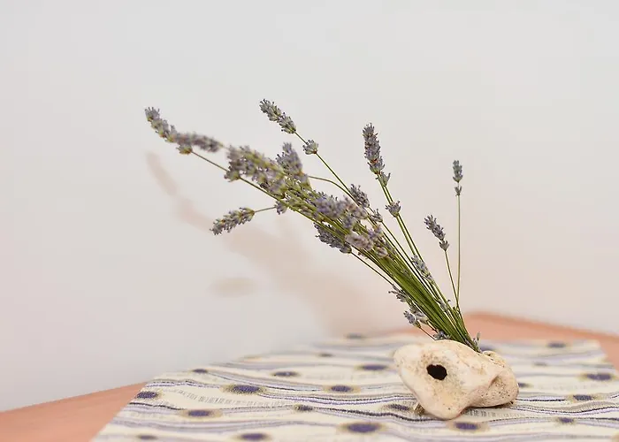 Juka 아파트 흐바르